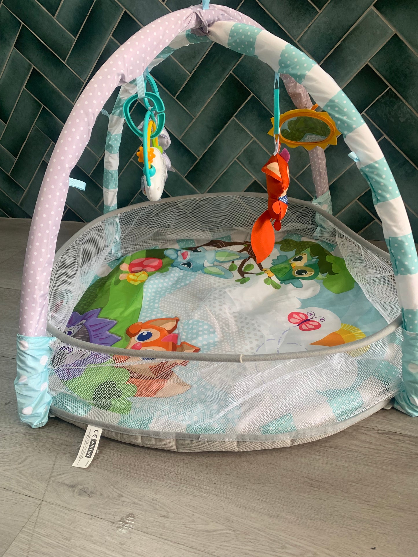 Winfun Playspace Play Gym and Ball Pit