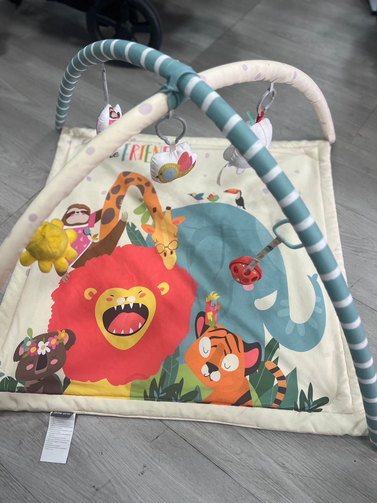 Little one Play Mat