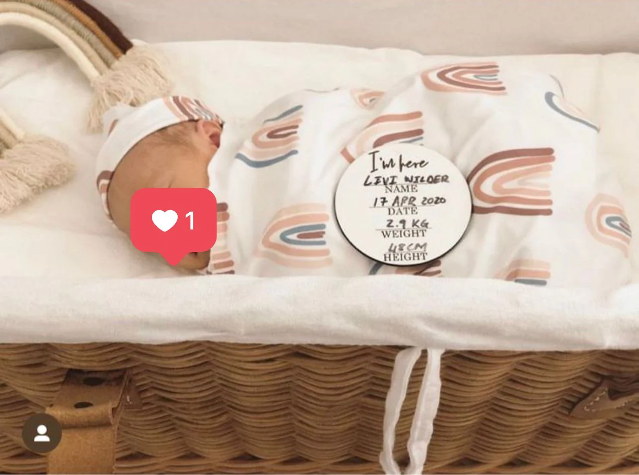 Moses basket