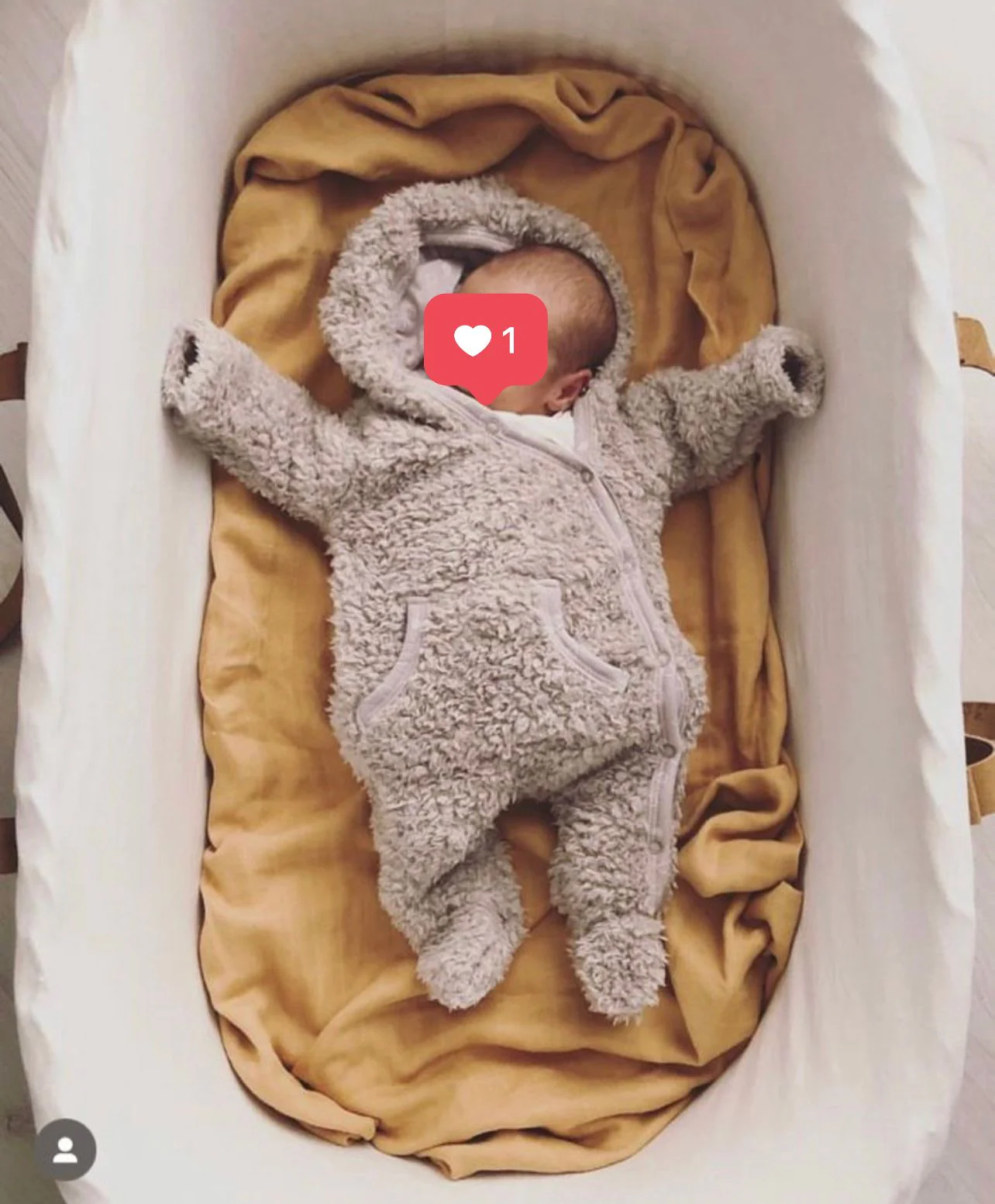 Moses basket