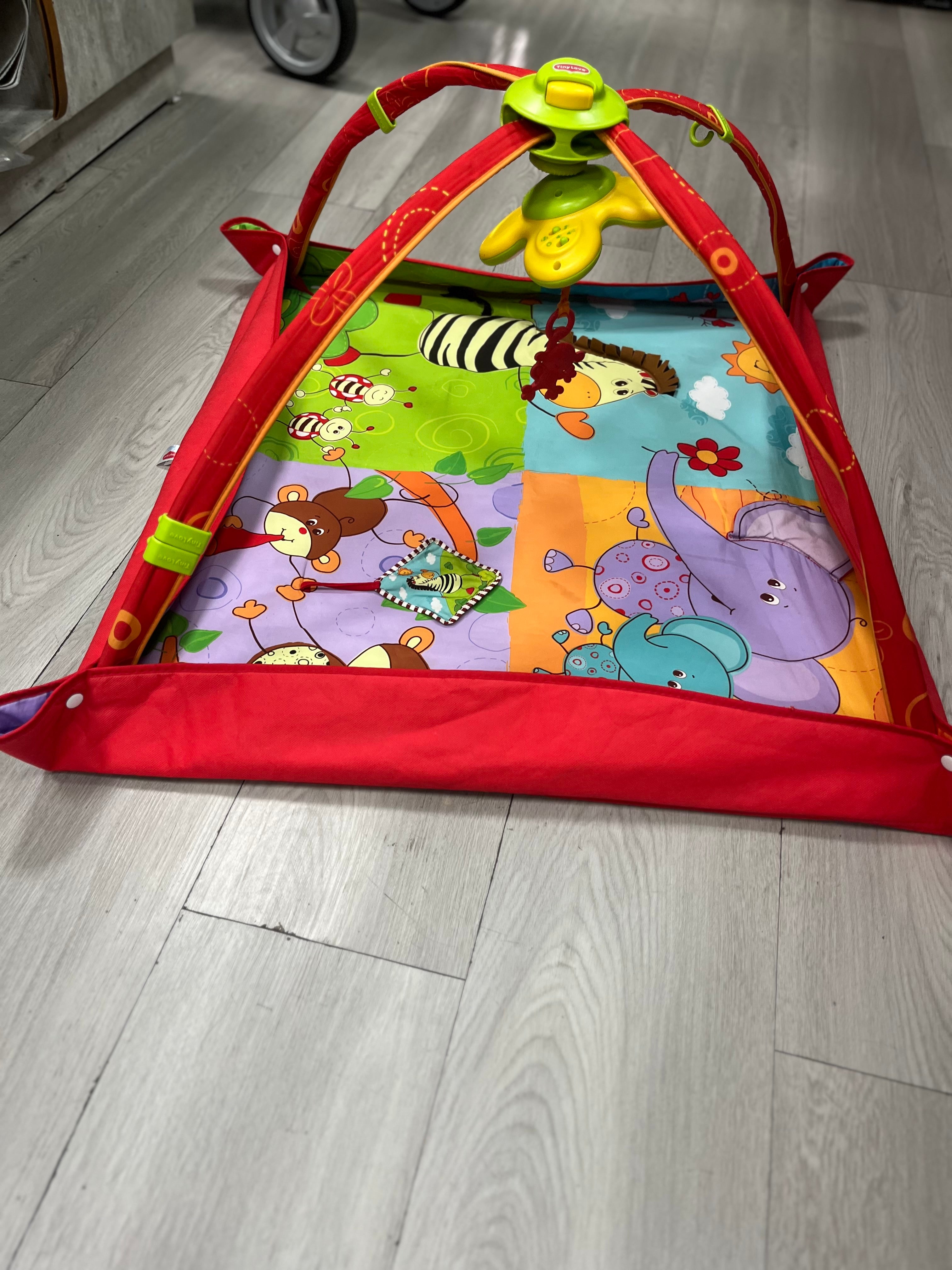 Tiny Love Gymini Move and Play Activity