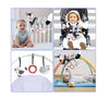 Black & White Developmental Baby Toys
