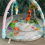 Winfun Playspace Play Gym and Ball Pit