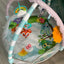 Winfun Playspace Play Gym and Ball Pit