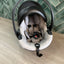 Besafe Infant Car Seats