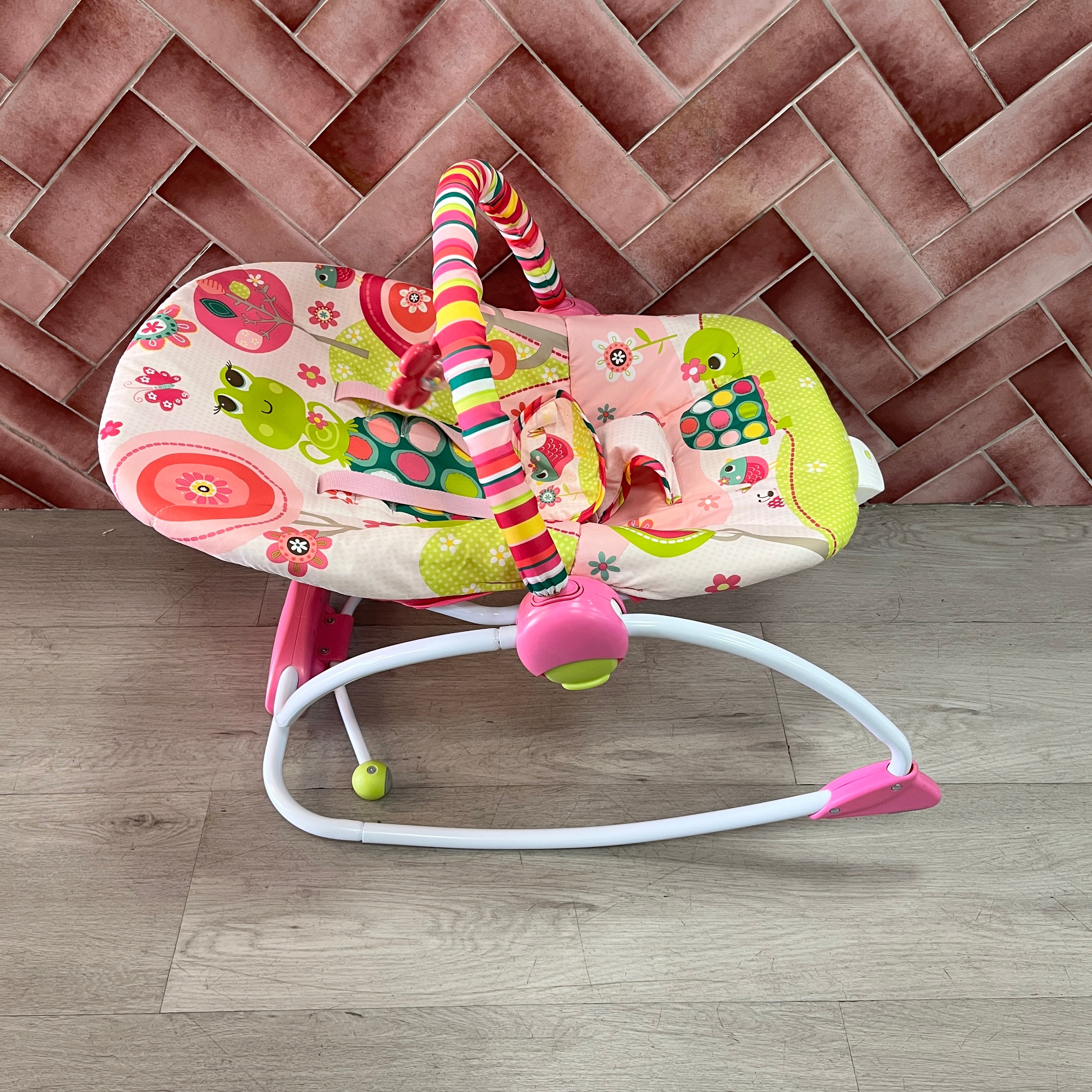 Bright Starts Infant To Toddler Rocker Raspberry Garden