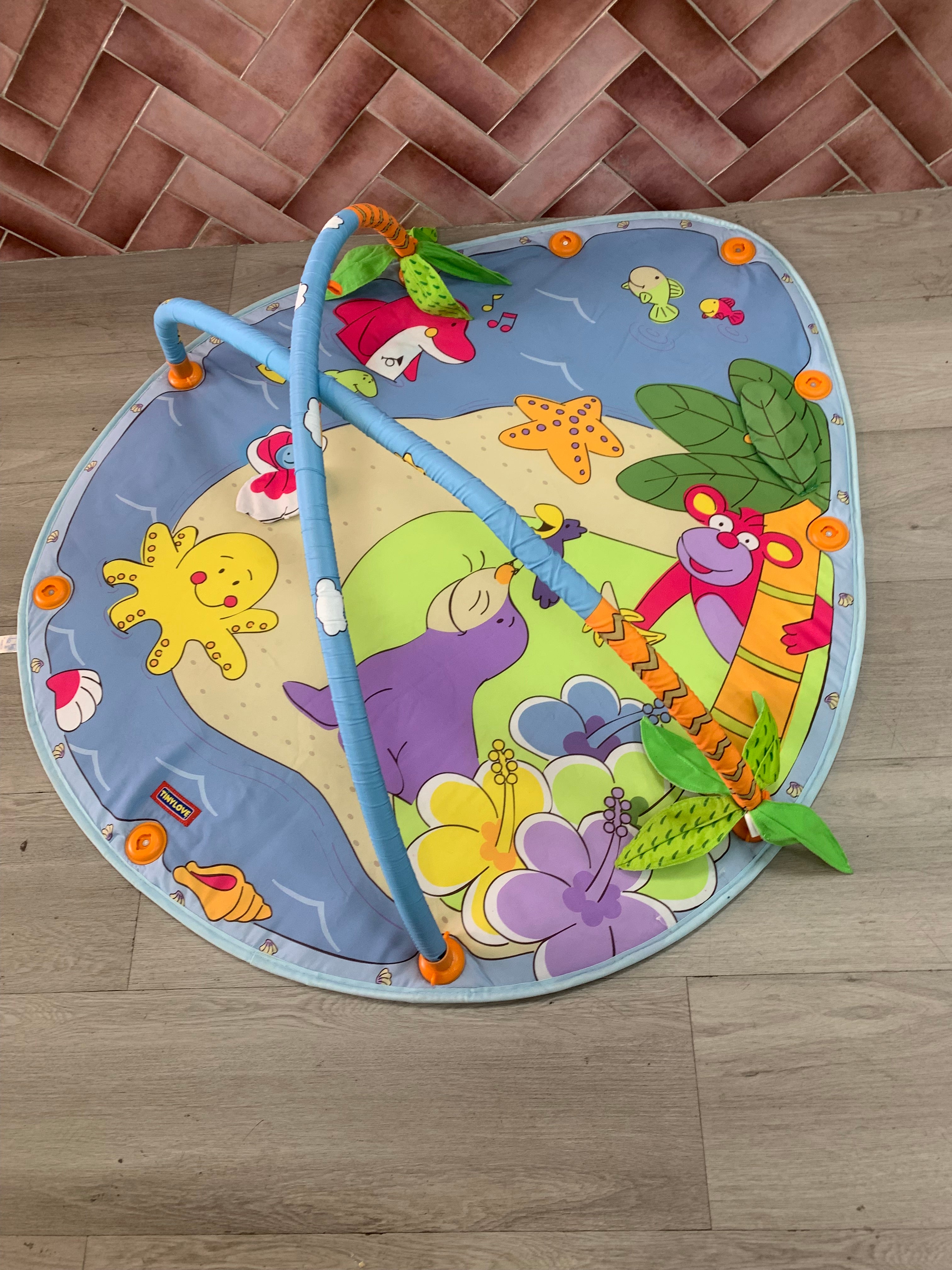 Tiny Love Playgym