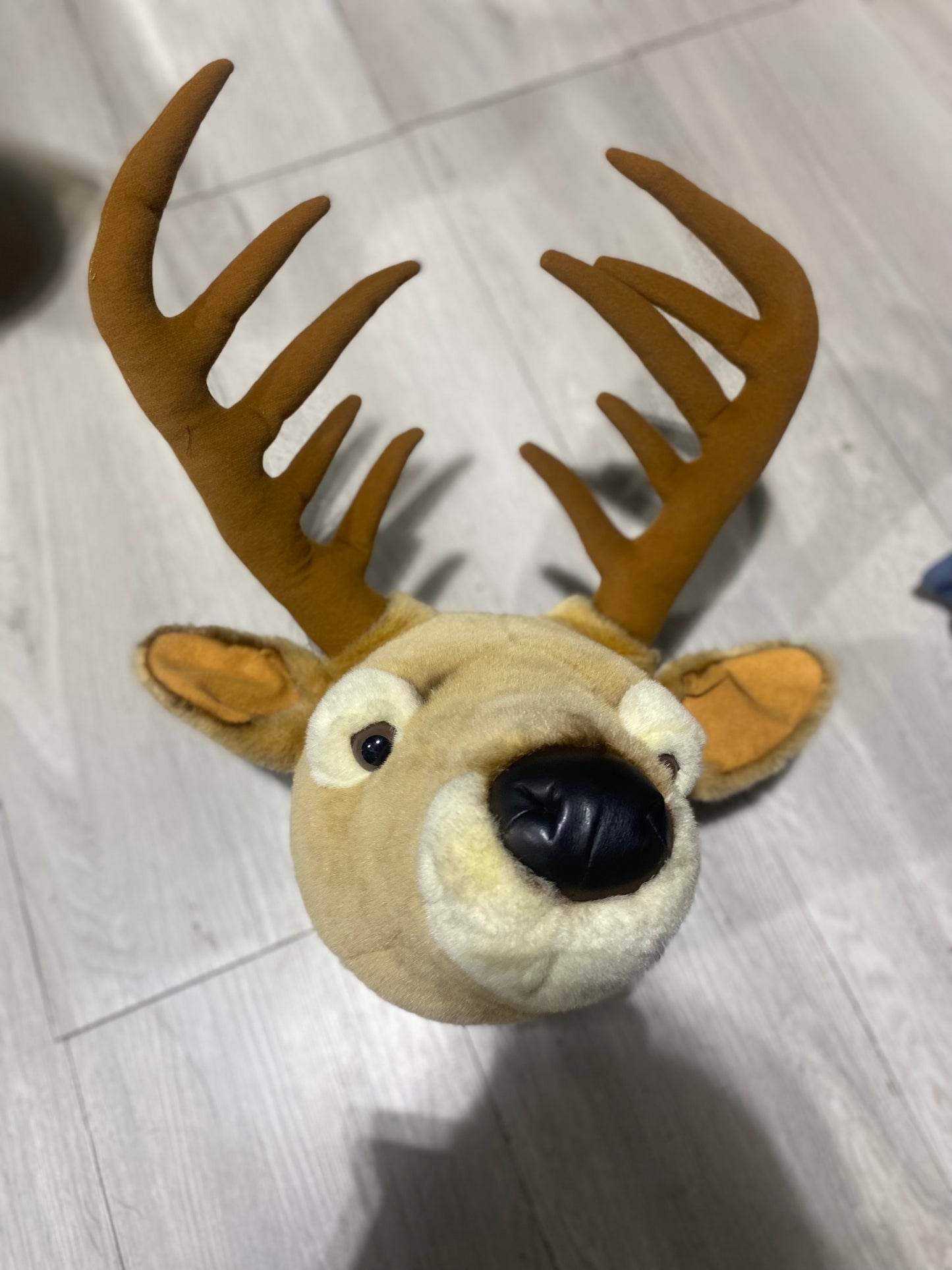 Deer wall trophy