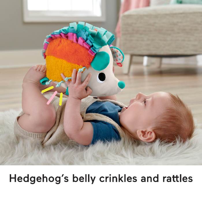 Fisher-Price Cuddle N' Snuggle Hedgehog Plush Toy