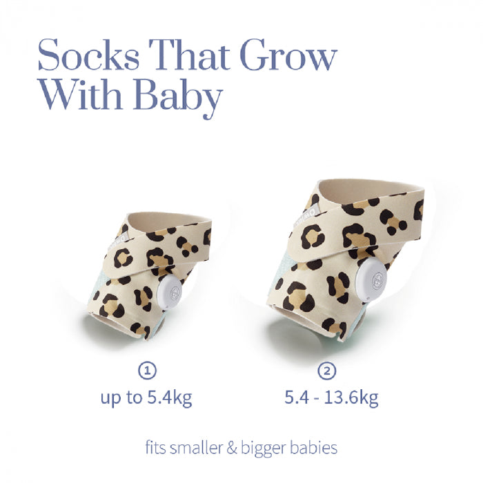 Owlet Fabric Sock ONLY