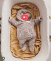 Moses basket